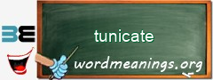 WordMeaning blackboard for tunicate